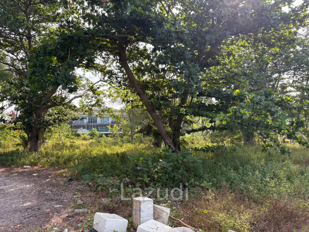Stunning Beachfront Land for Sale Koh Phangan