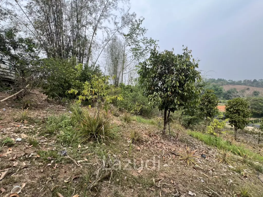 3 Bedrooms House with Resort for Sale near City at Mae Yao