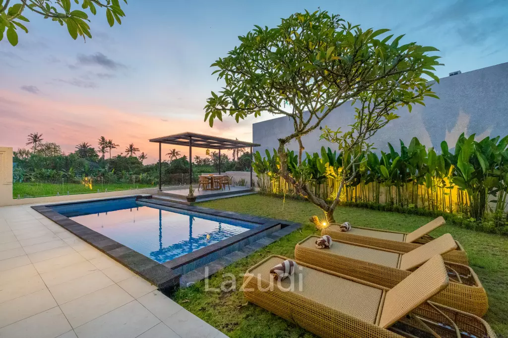 Perfect Three Bedroom Freehold Villa in Tumbak Bayuh Canggu