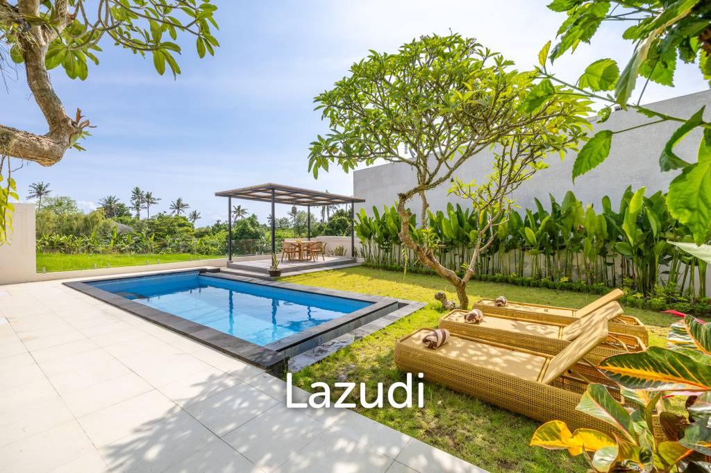 Perfect Three Bedroom Freehold Villa in Tumbak Bayuh Canggu