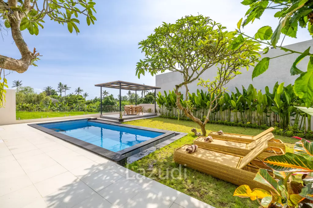 Perfect Three Bedroom Freehold Villa in Tumbak Bayuh Canggu