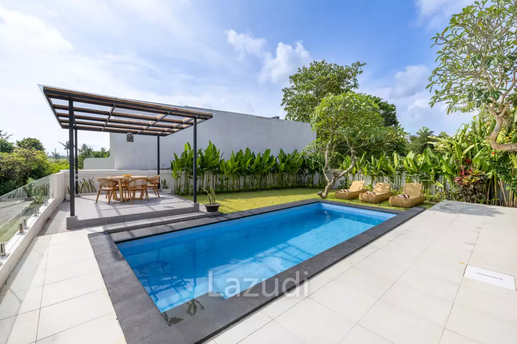 Perfect Three Bedroom Freehold Villa in Tumbak Bayuh Canggu