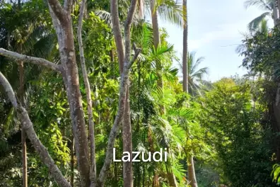Unique Rock-Nestled Property – A Truly Magical Escape