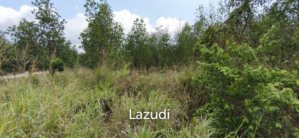 Prime Investment Land  54 Rai Adjacent to Motorway 7