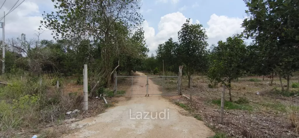 Prime Investment Land  54 Rai Adjacent to Motorway 7