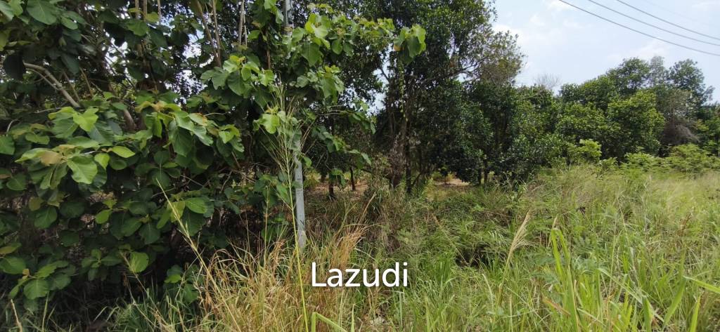 Prime Investment Land  54 Rai Adjacent to Motorway 7