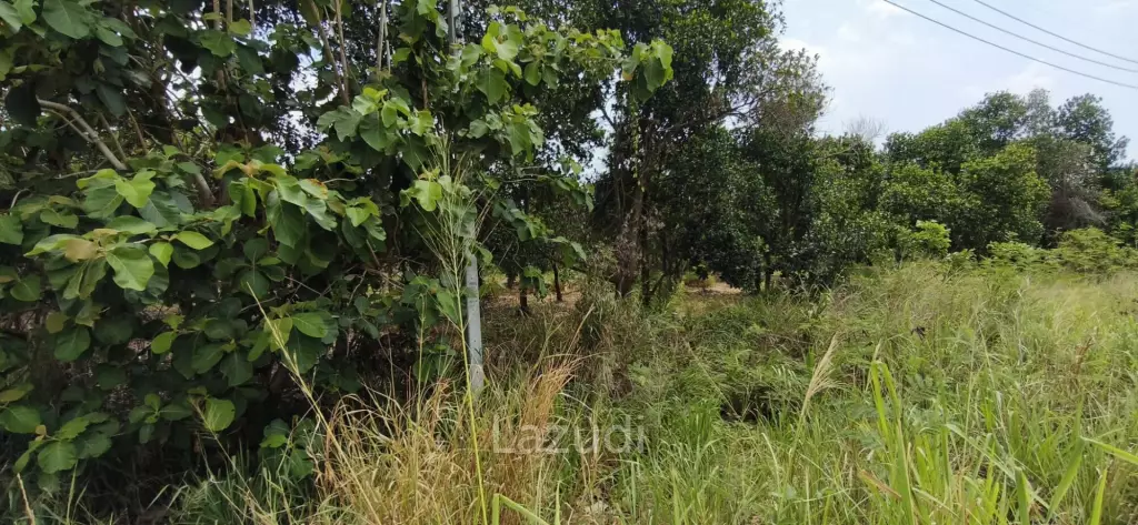 Prime Investment Land  54 Rai Adjacent to Motorway 7