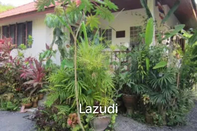 Spacious Freehold Land with 2 Houses in Prime Lamai Location