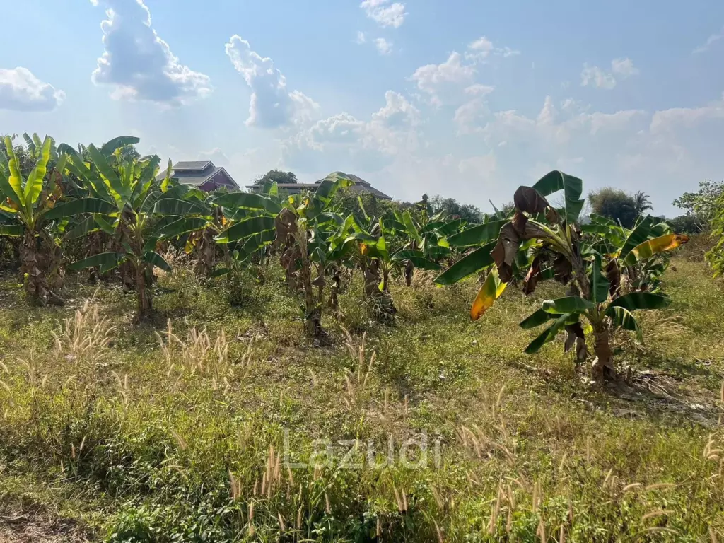 1,548 SQ.M. Land in Good Location near Chiang Rai Center