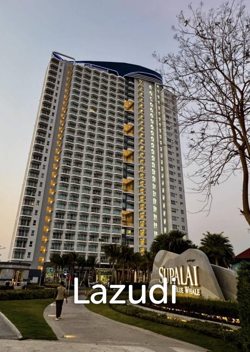 Blue Whale Condo : "Close to everything" - City & Sea View.