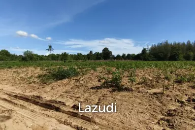 ขายที่ดินน่าลงทุน หนองปลาไหล พัทยาตะวันออก