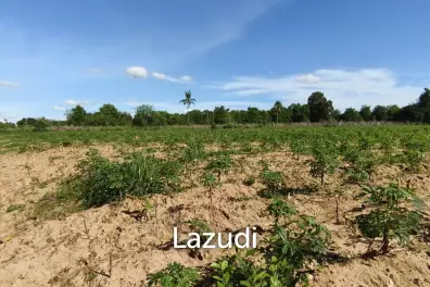 ขายที่ดินน่าลงทุน หนองปลาไหล พัทยาตะวันออก