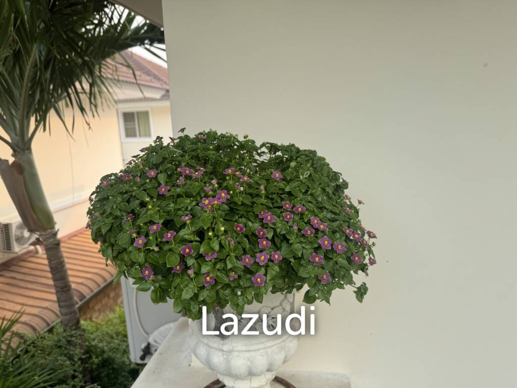 4 Bedrooms House for Rent near international school