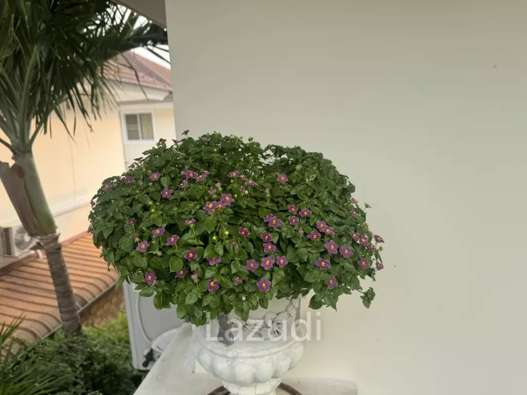 4 Bedrooms House for Rent near international school