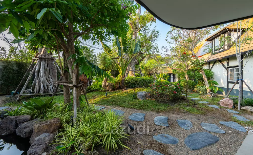 Beautifully renovated unique property on a huge plot