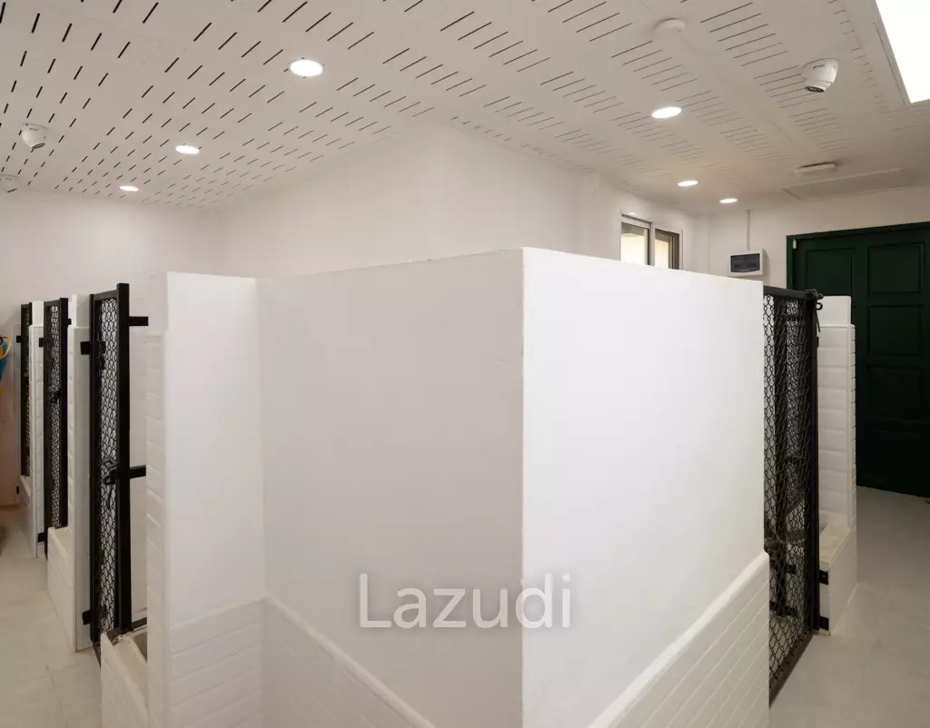 Beautifully renovated unique property on a huge plot