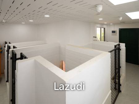 Beautifully renovated unique property on a huge plot