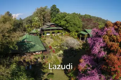 4 Teak Houses with 7 Bedrooms for Sale near Chiang Rai City