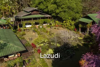 4 Teak Houses with 7 Bedrooms for Sale near Chiang Rai City