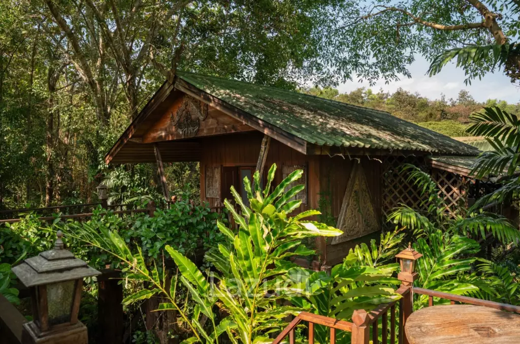 ขายบ้านไม้สัก 3 หลัง 7 ห้องนอน บนเนินใกล้ตัวเมืองเชียงราย