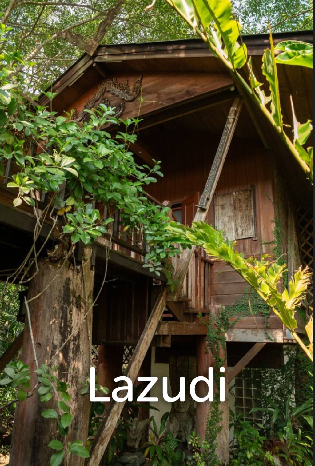 ขายบ้านไม้สัก 3 หลัง 7 ห้องนอน บนเนินใกล้ตัวเมืองเชียงราย