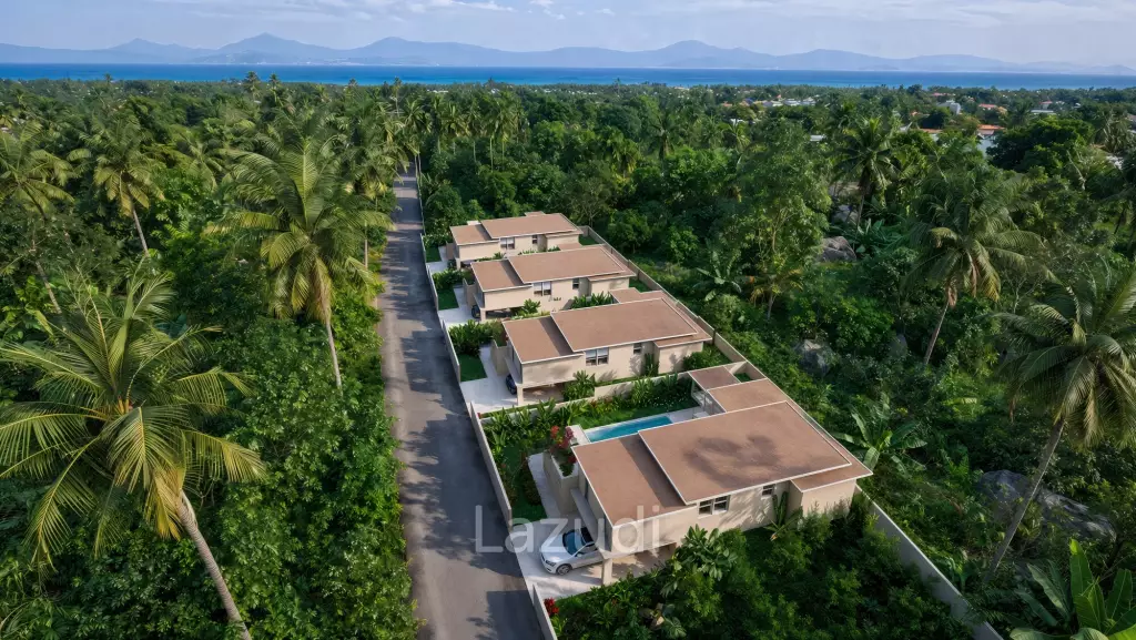 Modern 3-Bedroom Pool Villa Surrounded by Tropical Nature