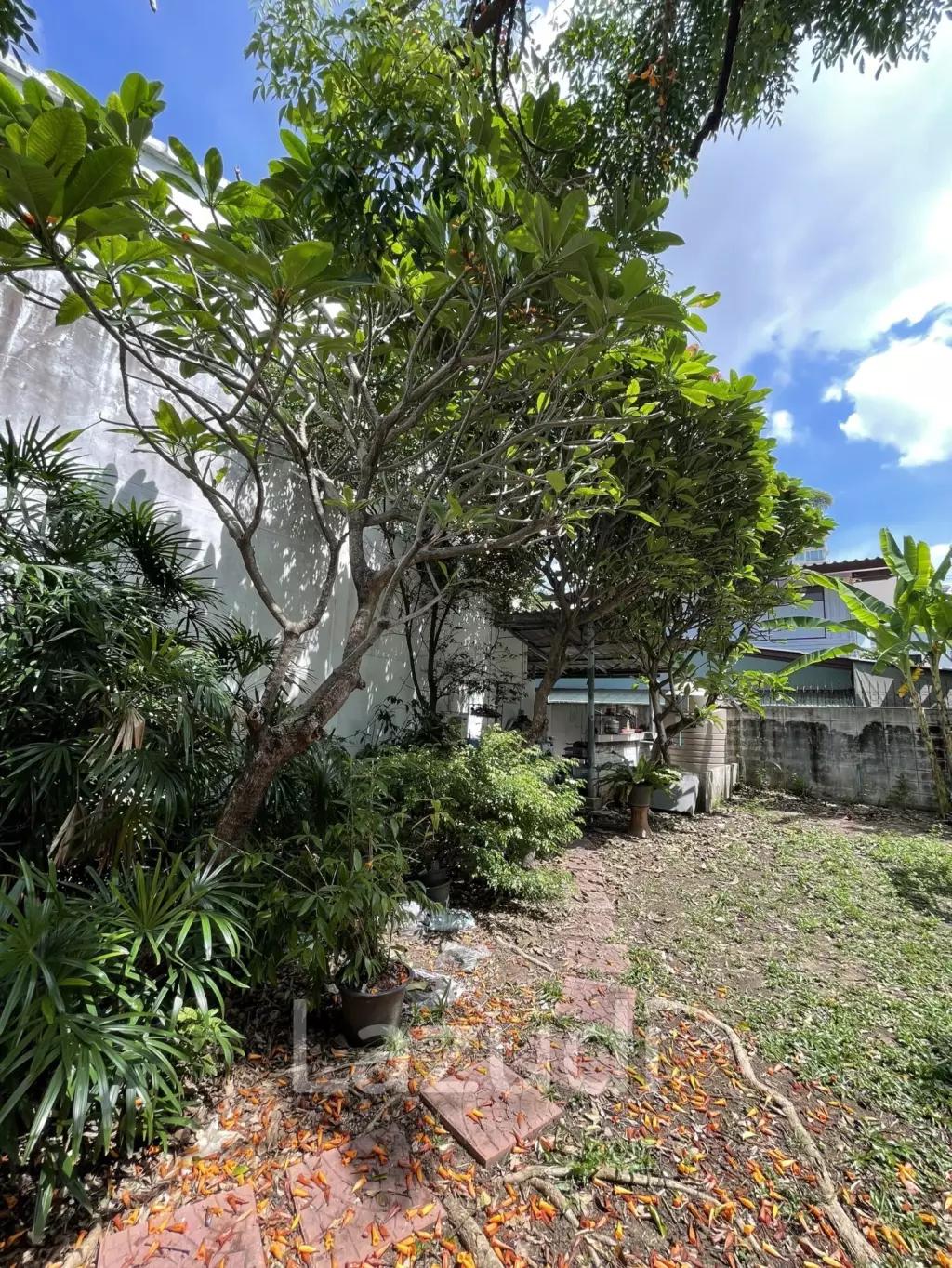 4 Bed Detached House 126.9sq.w For Sale in Asoke