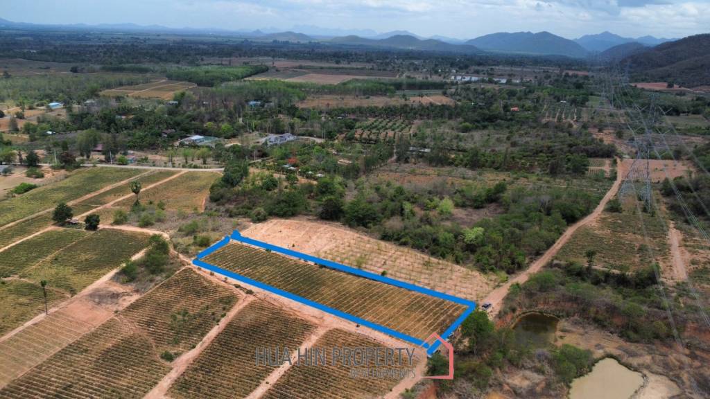 Land 1-3-47 Rai For Sale  Rectangular Farmland for Sale in Thap Tai Hua Hin Freehold