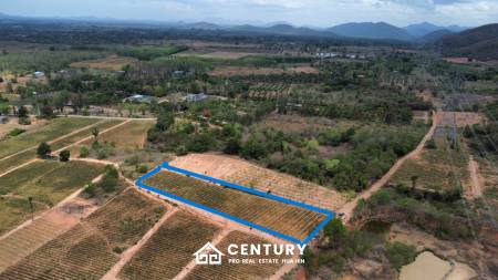 Land 1-3-47 Rai For Sale  Rectangular Farmland for Sale in Thap Tai Hua Hin Freehold