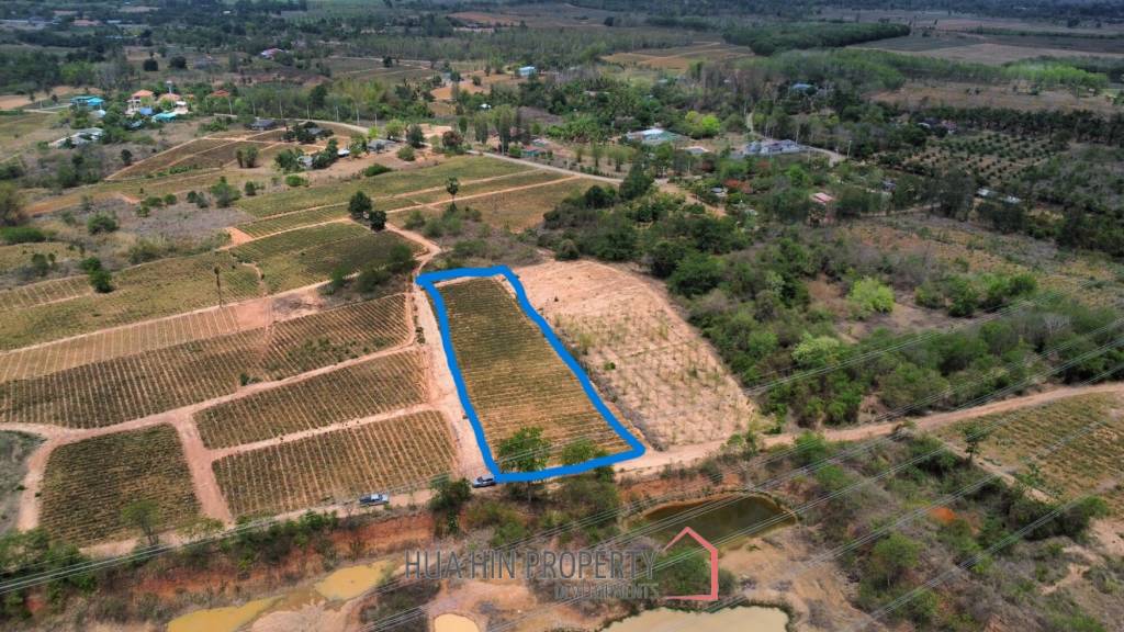 Land 1-3-47 Rai For Sale  Rectangular Farmland for Sale in Thap Tai Hua Hin Freehold