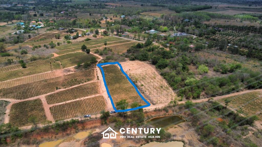 Land 1-3-47 Rai For Sale  Rectangular Farmland for Sale in Thap Tai Hua Hin Freehold