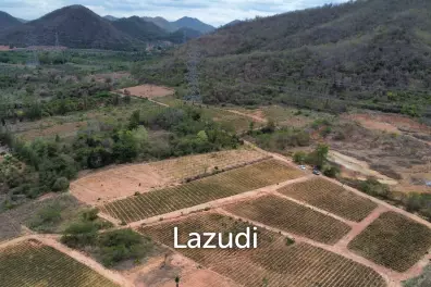 2988 sqm Rectangular Farmland for Sale in Thap Tai Hua Hin Freehold