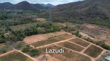 2988 sqm Rectangular Farmland for Sale in Thap Tai Hua Hin Freehold
