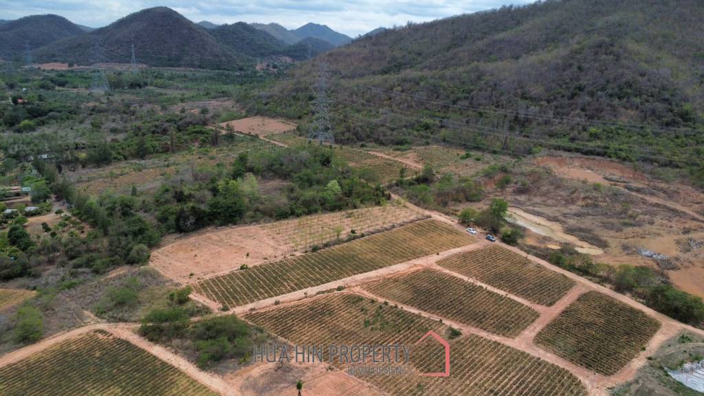 Land 1-3-47 Rai For Sale  Rectangular Farmland for Sale in Thap Tai Hua Hin Freehold