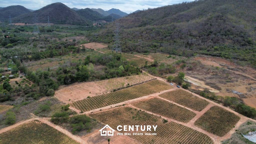 Land 1-3-47 Rai For Sale  Rectangular Farmland for Sale in Thap Tai Hua Hin Freehold