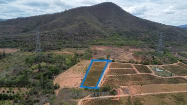 Land 1-3-47 Rai For Sale  Rectangular Farmland for Sale in Thap Tai Hua Hin Freehold