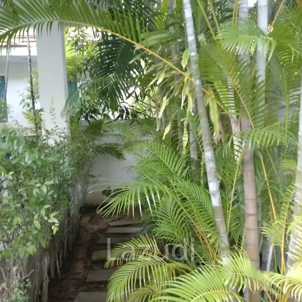 Woodlands Residence : Modern Pool Villa 3 Bed, Solar Panel