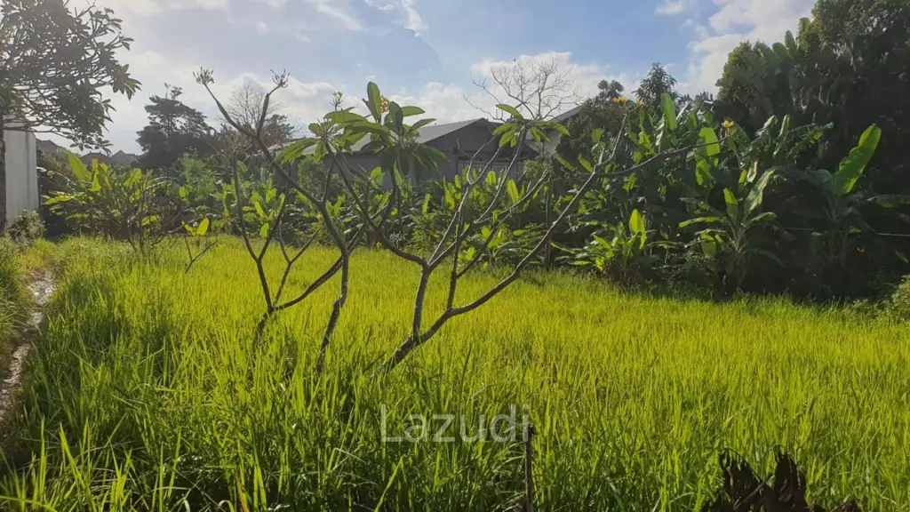 Prime 10 Are Leasehold Land for Investment in Plataran Canggu – 25 Years Lease