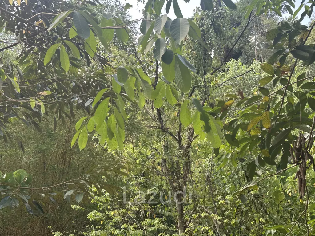Small typical Resort on a greeny 1.5 RAI
