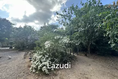 Small typical Resort on a greeny 1.5 RAI