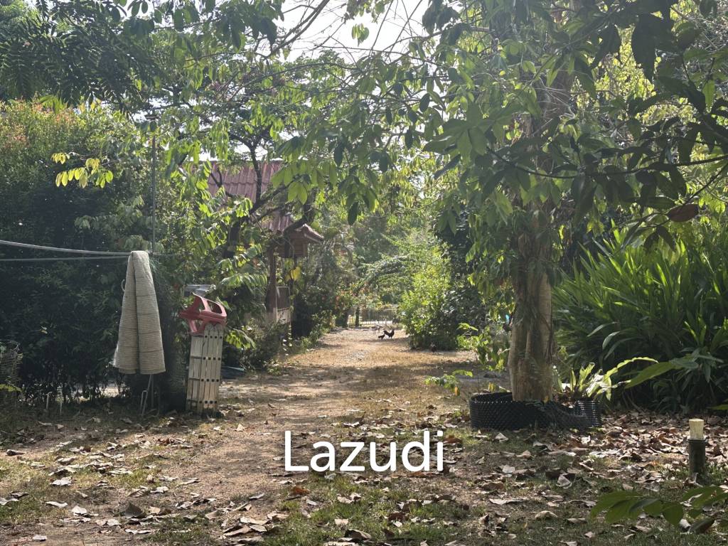 Small typical Resort on a greeny 1.5 RAI