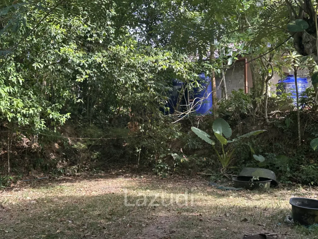 Small typical Resort on a greeny 1.5 RAI