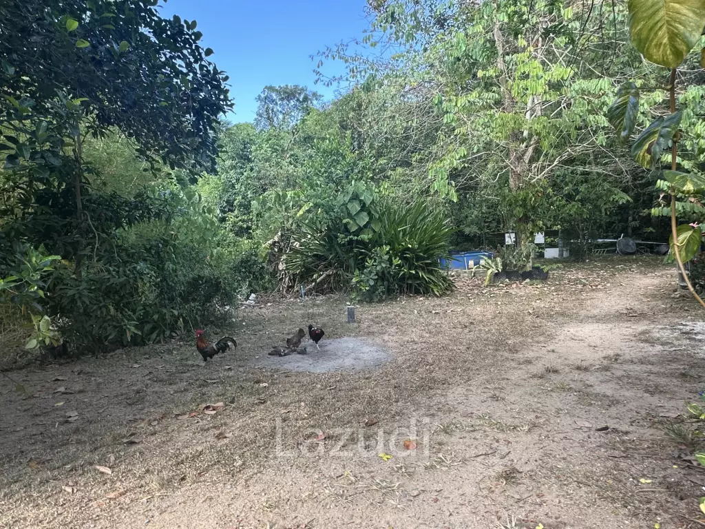 Small typical Resort on a greeny 1.5 RAI