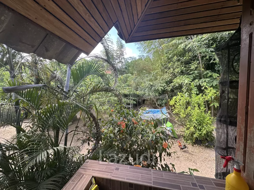 Small typical Resort on a greeny 1.5 RAI