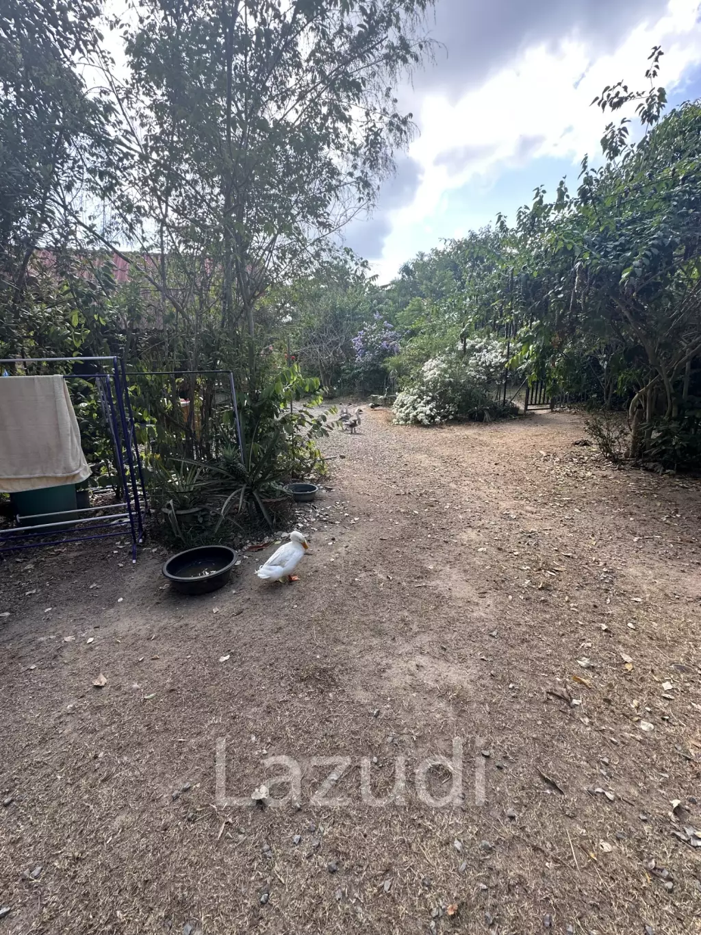 Small typical Resort on a greeny 1.5 RAI