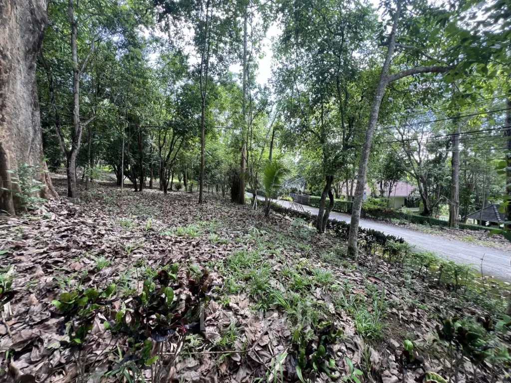 ขายบ้าน 2 ห้องนอนท่ามกลางธรรมชาติในหมู่บ้านภูปลายฟ้า