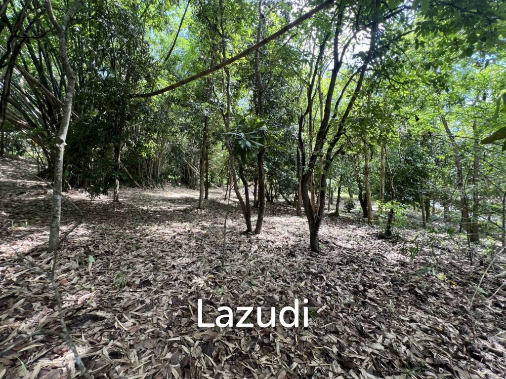 ขายบ้าน 2 ห้องนอนท่ามกลางธรรมชาติในหมู่บ้านภูปลายฟ้า