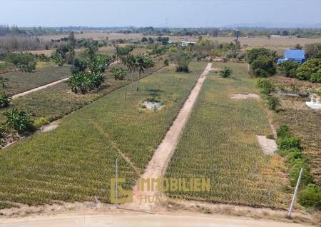 Development Land - 6 Rai Plot in Hin Lek Fai