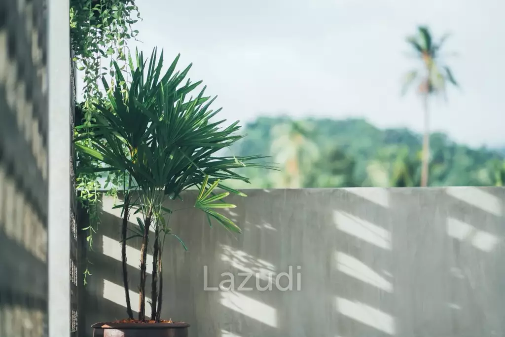 Stylish 2-Bedroom Villa with Private Pool & Roof Terrace – Mae Nam