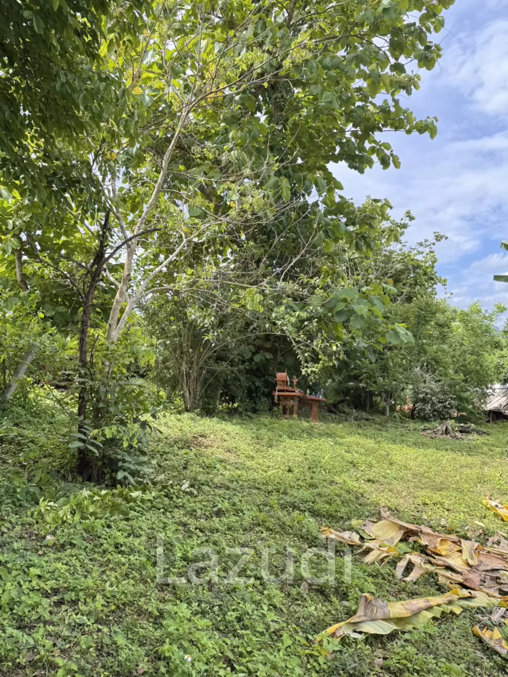 ขายที่ดิน 3 ไร่ วิวภูเขาในอ.เชียงดาว จ.เชียงใหม่